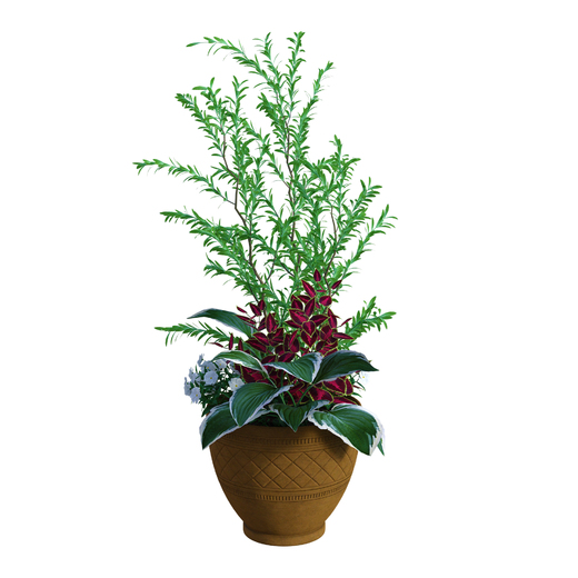 leaves-4757278_1920.jpg